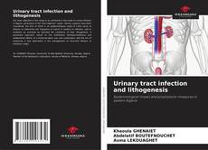 Bookcover of Urinary tract infection and lithogenesis