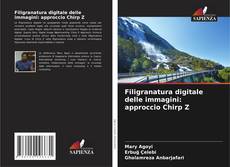 Copertina di Filigranatura digitale delle immagini: approccio Chirp Z