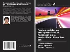 Fondos sociales no presupuestarios de Kazajistán en la inestabilidad financiera con kitap kapağı