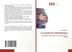 Couverture de Le Syndrome Métabolique