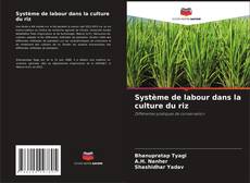 Couverture de Système de labour dans la culture du riz
