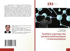 Copertina di Synthèse organique des produits hétérocycliques 1,4-benzoxazépines