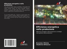 Copertina di Efficienza energetica nella produzione
