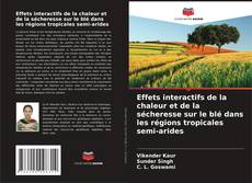 Copertina di Effets interactifs de la chaleur et de la sécheresse sur le blé dans les régions tropicales semi-arides