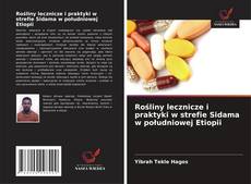 Rośliny lecznicze i praktyki w strefie Sidama w południowej Etiopii的封面