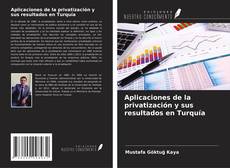 Aplicaciones de la privatización y sus resultados en Turquía kitap kapağı