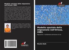 Copertina di Modello spaziale della migrazione nell'Orissa, 2001
