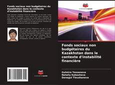 Portada del libro de Fonds sociaux non budgétaires du Kazakhstan dans le contexte d'instabilité financière
