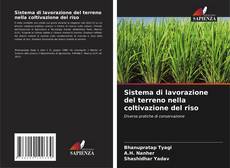 Sistema di lavorazione del terreno nella coltivazione del riso的封面