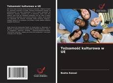 Copertina di Tożsamość kulturowa w UE
