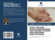 N'DALI VOR DEN HERAUSFORDERUNGEN VON WASSER, HYGIENE UND SANITÄREN EINRICHTUNGEN kitap kapağı