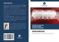 Bookcover of DENTINRISSE