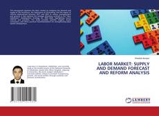 Capa do livro de LABOR MARKET: SUPPLY AND DEMAND FORECAST AND REFORM ANALYSIS 