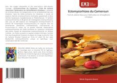 Capa do livro de Ectomycorhizes du Cameroun 