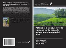 Copertina di Potencial de secuestro de carbono de la caña de azúcar en el marco del MDL