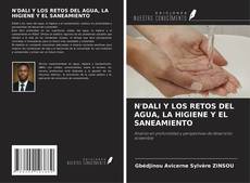 N'DALI Y LOS RETOS DEL AGUA, LA HIGIENE Y EL SANEAMIENTO kitap kapağı