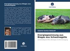 Copertina di Energiegewinnung aus Biogas aus Schweinegülle
