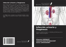 Infección urinaria y litogénesis kitap kapağı