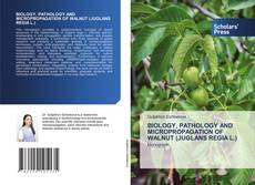 Bookcover of BIOLOGY, PATHOLOGY AND MICROPROPAGATION OF WALNUT (JUGLANS REGIA L.)