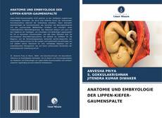 Borítókép a  ANATOMIE UND EMBRYOLOGIE DER LIPPEN-KIEFER-GAUMENSPALTE - hoz