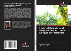 Il coinvolgimento degli insegnanti esperti nello sviluppo professionale的封面
