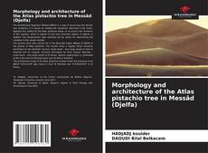 Bookcover of Morphology and architecture of the Atlas pistachio tree in Messâd (Djelfa)