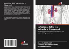 Copertina di Infezione delle vie urinarie e litogenesi