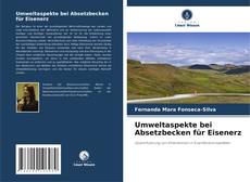 Capa do livro de Umweltaspekte bei Absetzbecken für Eisenerz 