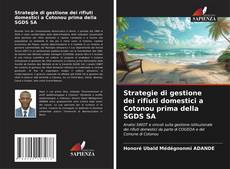 Couverture de Strategie di gestione dei rifiuti domestici a Cotonou prima della SGDS SA