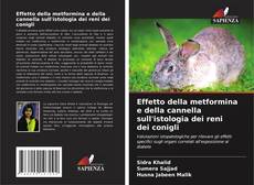 Copertina di Effetto della metformina e della cannella sull'istologia dei reni dei conigli