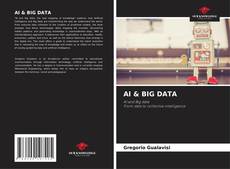 Обложка AI & BIG DATA