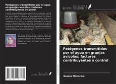 Patógenos transmitidos por el agua en granjas avícolas: factores contribuyentes y control的封面
