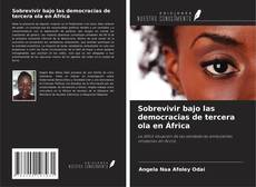 Sobrevivir bajo las democracias de tercera ola en África的封面