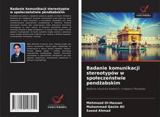 Copertina di Badanie komunikacji stereotypów w społeczeństwie pendżabskim