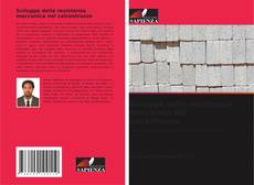 Sviluppo della resistenza meccanica nel calcestruzzo的封面