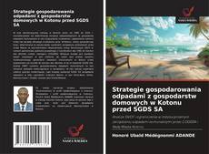 Copertina di Strategie gospodarowania odpadami z gospodarstw domowych w Kotonu przed SGDS SA