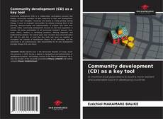 Community development (CD) as a key tool的封面