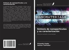 Síntesis de nanopartículas y su caracterización kitap kapağı