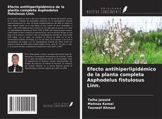 Copertina di Efecto antihiperlipidémico de la planta completa Asphodelus fistulosus Linn.