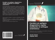Couverture de Cerebro en peligro: diagnóstico rápido mediante el enfoque sindrómico