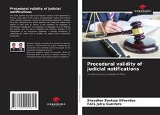 Procedural validity of judicial notifications kitap kapağı