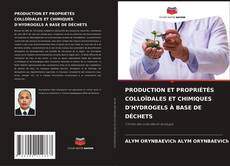 Bookcover of PRODUCTION ET PROPRIÉTÉS COLLOÏDALES ET CHIMIQUES D'HYDROGELS À BASE DE DÉCHETS