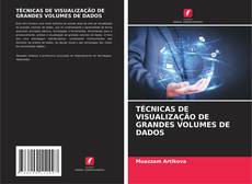 Couverture de TÉCNICAS DE VISUALIZAÇÃO DE GRANDES VOLUMES DE DADOS