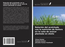 Relación del acolchado con la nutrición de fósforo en la caña de azúcar plantada en otoño kitap kapağı