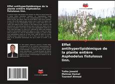 Copertina di Effet antihyperlipidémique de la plante entière Asphodelus fistulosus linn.