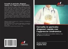 Borítókép a  Cervello in pericolo: diagnosi rapida con l'approccio sindromico - hoz
