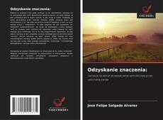 Copertina di Odzyskanie znaczenia: