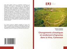 Copertina di Changements climatiques et rendement d’ignames dans la Vina, Cameroun