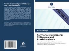 Copertina di Territoriale Intelligenz: Stiftungen und Praxishandbuch