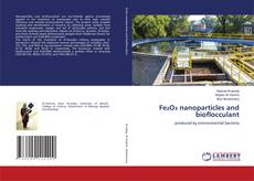 Обложка Fe₂O₃ nanoparticles and bioflocculant